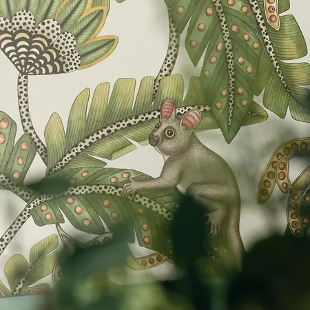 Ts Colonial Airco 슈체친