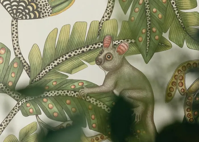 Ts Colonial Airco Szczecin