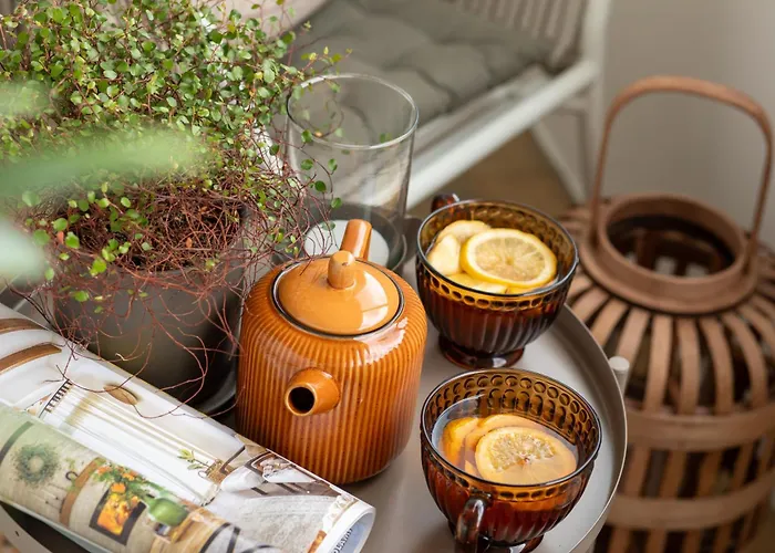 Ts Colonial Airco Daire *